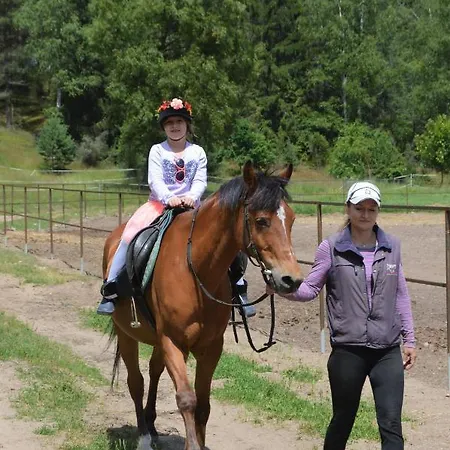 Dom Letniskowy Na Kaszubach Z Podgrzewanym Basenem * Ostrowite