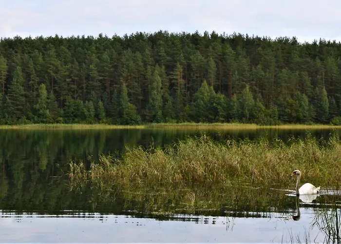 Dom Letniskowy Na Kaszubach Z Podgrzewanym Basenem Dom wakacyjny *