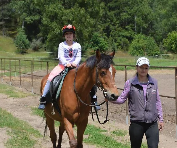 Dom Letniskowy Na Kaszubach Z Podgrzewanym Basenem * Ostrowite (Kartuzy)